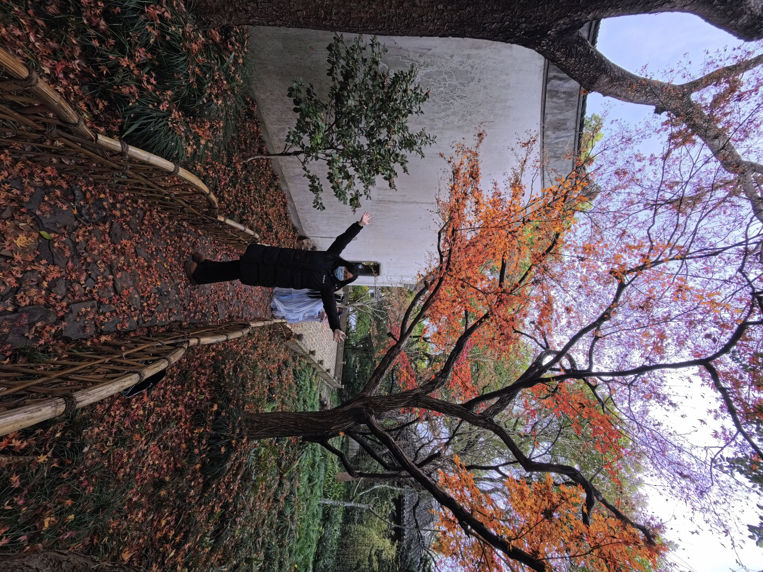 惠山古镇山顶寺庙的落叶小径