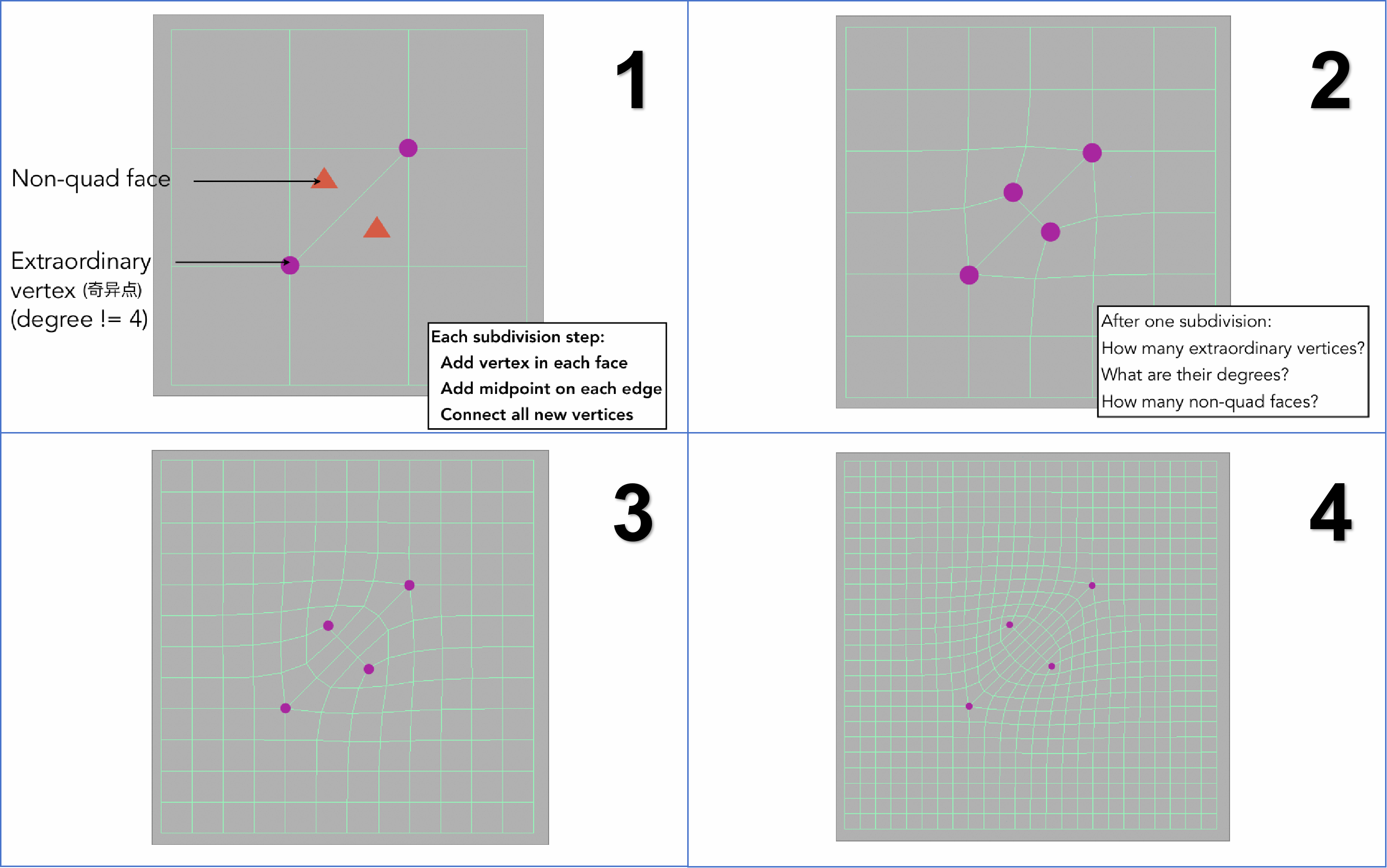 找奇异点和规则细分