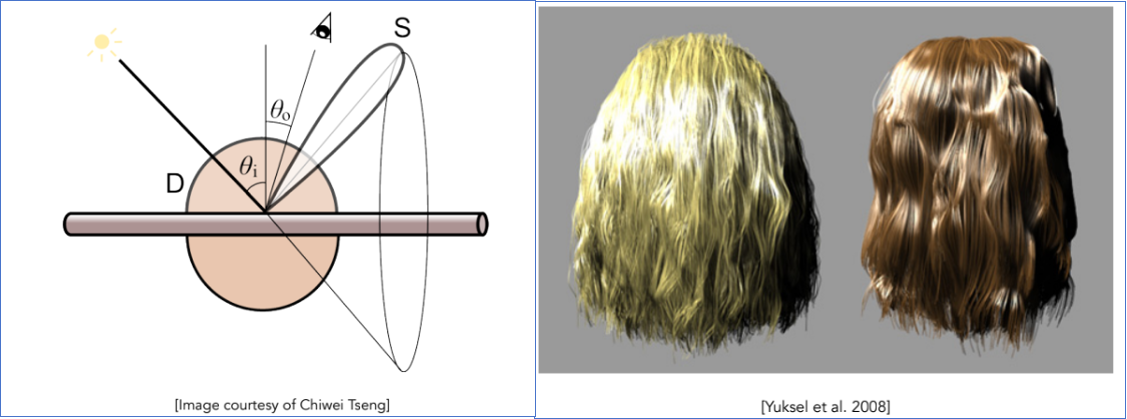塑料感毛发模型