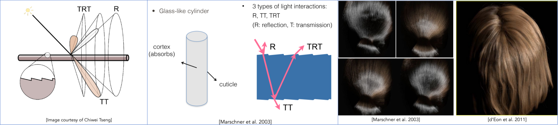 角蛋白毛发模型