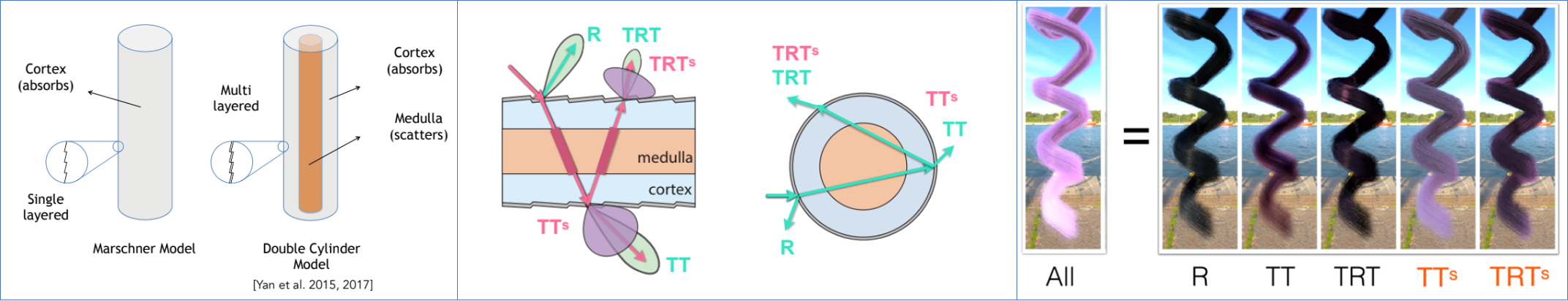 髓质毛发模型绘制